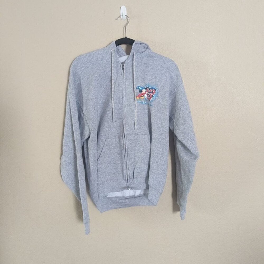 Walt Disney World Resort Parks 2013 Grey Zip up Hoodie Size M - Picture 3 of 7